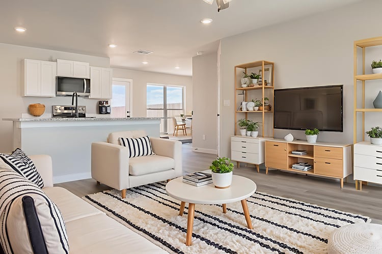 Living Room 01