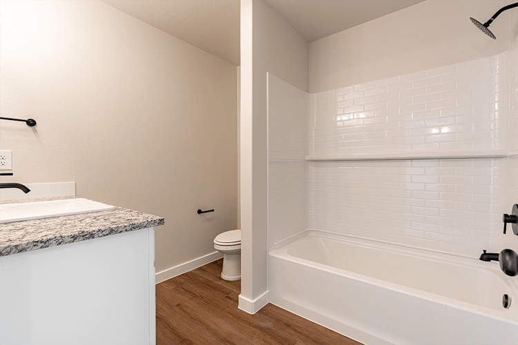 Bathroom in the Giselle, a floor plan by Betenbough Homes, West Texas' #1 home builder.